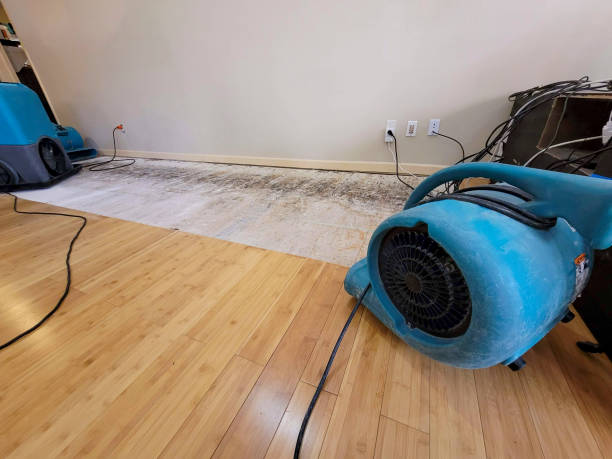 Professional Water Removal technician working in Latham, OH